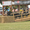 D50_8851.JPG