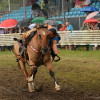 D71_7887.jpg