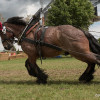 DSCF8189.jpg