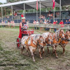 IMG_4031.jpg