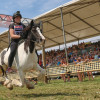 Titanen_klein1G9A2134.jpg