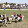 Titanen_klein1G9A2979.jpg