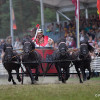 164A8401.jpg