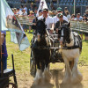 D50_5388.JPG