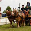 D71_4829.jpg
