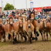 D71_7158.jpg