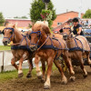 D71_7210.jpg