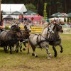 D71_7563.jpg
