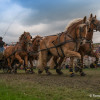 DSCF7596.jpg