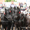 DSC_6912.jpg