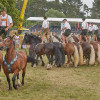 Titanen_klein1G9A2371.jpg