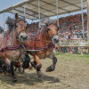 Titanen_klein1G9A2863.jpg