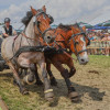 Titanen_klein1G9A2895.jpg