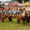 D71_5482.jpg