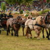 D71_7938.jpg