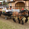 D75_9649.JPG