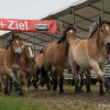 DSCF7983.jpg