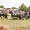 IMG_1068.jpg