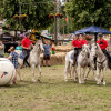 IMG_1798.jpg