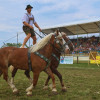 Titanen_klein1G9A2318.jpg