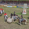 Titanen_klein1G9A2965.jpg
