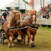 D71_5590.jpg