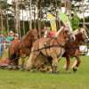 D71_7321.jpg