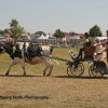 IMG_2576.jpg