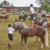 Titanen_klein1G9A2406.jpg