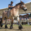 Titanen_klein1G9A2723.jpg