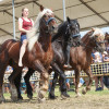 Titanen_klein1G9A2746.jpg