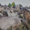 Titanen_klein1G9A3244.jpg