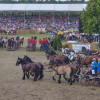 Titanen_klein1G9A3380.jpg