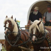 DSC_5789.jpg