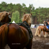 DSC_9752.JPG