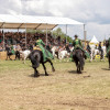 IMG_2724.jpg
