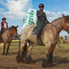 Titanen_klein1G9A3789.jpg
