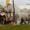 D71_6560.jpg