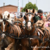 DSC_6456.jpg