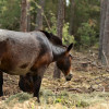 DSC_9657.JPG