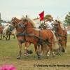 IMG_2876.jpg