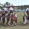 Titanen_klein1G9A3871.jpg