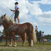 Titanen_klein1G9A3896.jpg