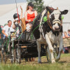 Titanen_klein5S3A6462.jpg