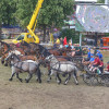 Titanen_klein5S3A6849.jpg