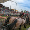 DSCF8064.jpg