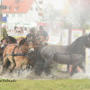 DSC_7156.jpg