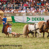 IMG_0369.jpg
