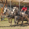IMG_2658.jpg