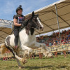 Titanen_klein1G9A2135.jpg